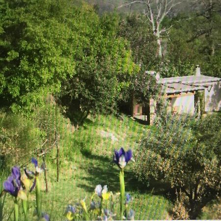 Cortijo La Vinuela Villa Atalbeitar Exteriör bild