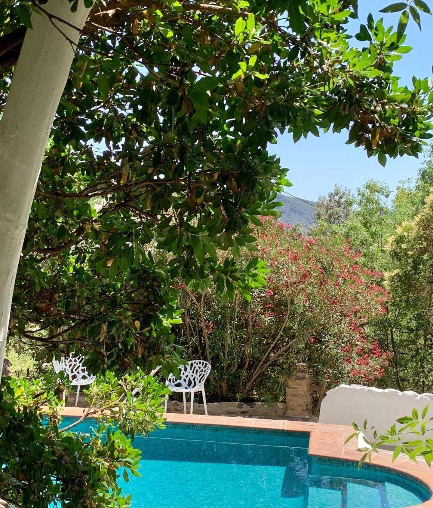 Cortijo La Vinuela Villa Atalbeitar Exteriör bild