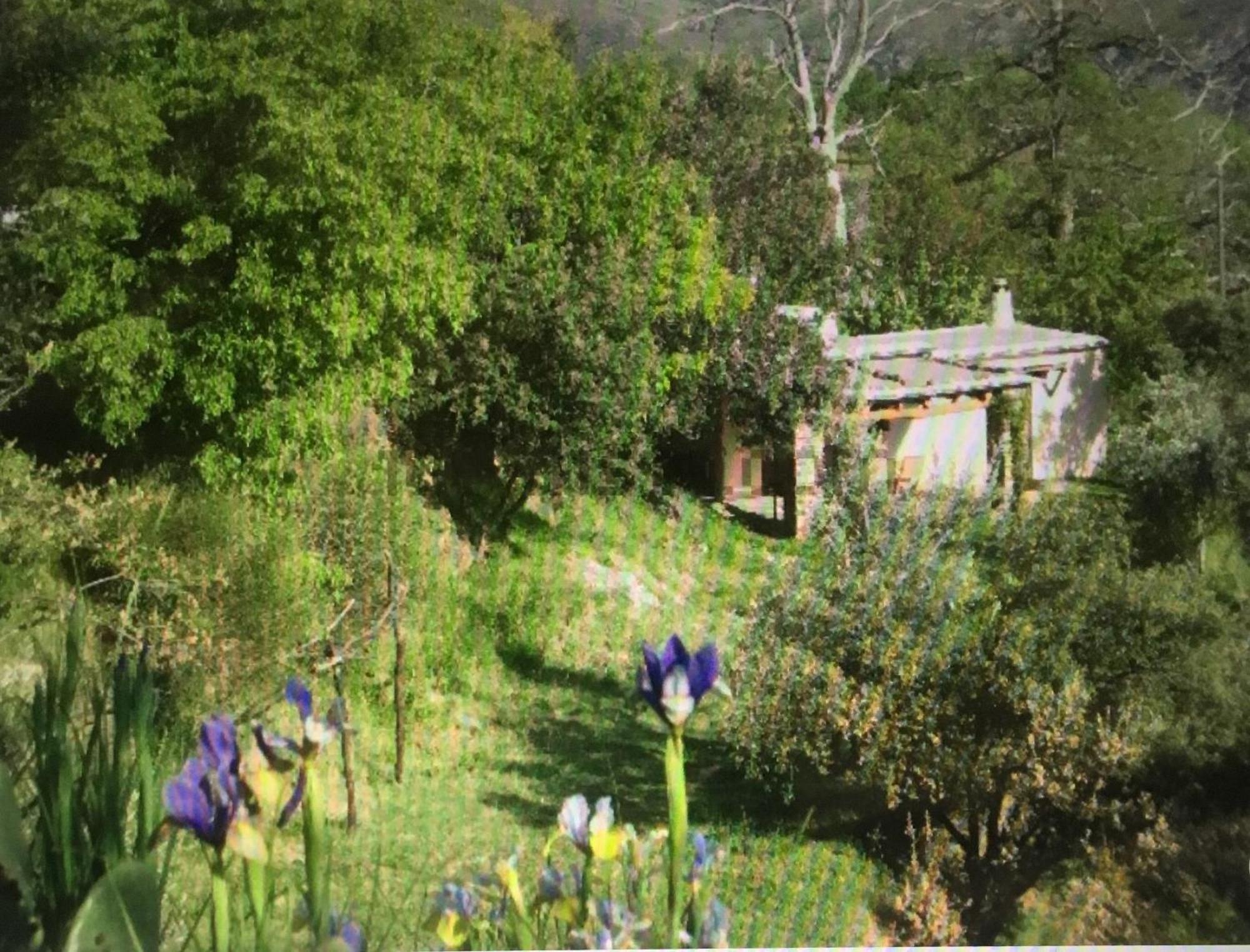 Cortijo La Vinuela Villa Atalbeitar Exteriör bild