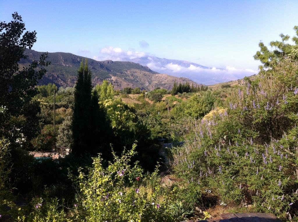 Cortijo La Vinuela Villa Atalbeitar Exteriör bild